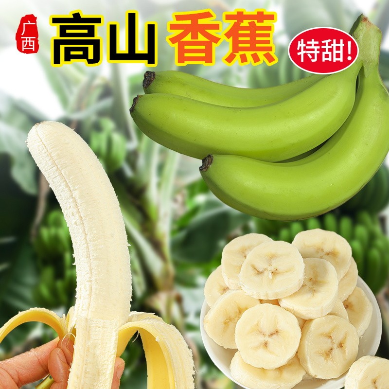 现砍现发 广西高山甜香蕉青蕉新鲜水果5/9斤产地粉芭蕉软糯香甜
