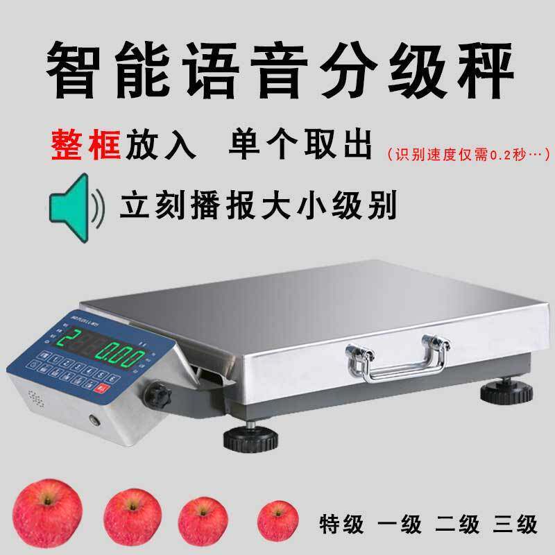 智能语音水果分级称蔬果海产分选机苹果桔子猕猴桃梨子分拣秤等级