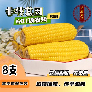 玉美天下内蒙古敖汉黄糯玉米8支*240g(试吃2支)