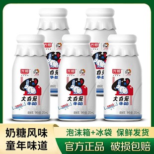 光明风味牛奶营养奶糖乳饮品饮料童年味道大白兔牛奶250ml瓶装