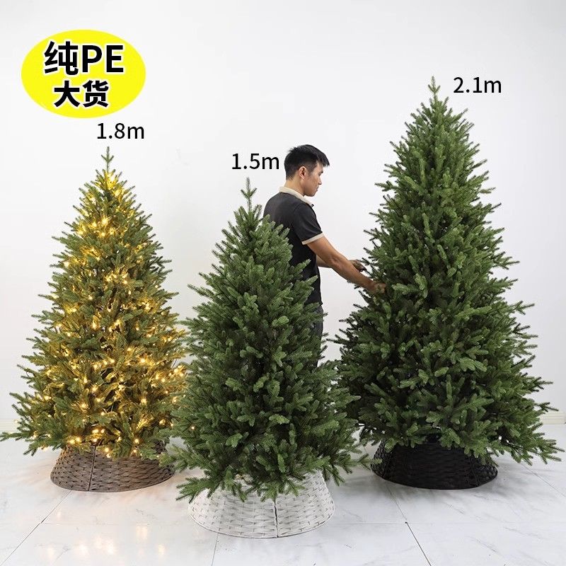 纯pe圣诞树家用2025新款圣诞节装饰品客厅高级感发光加密仿真裸树