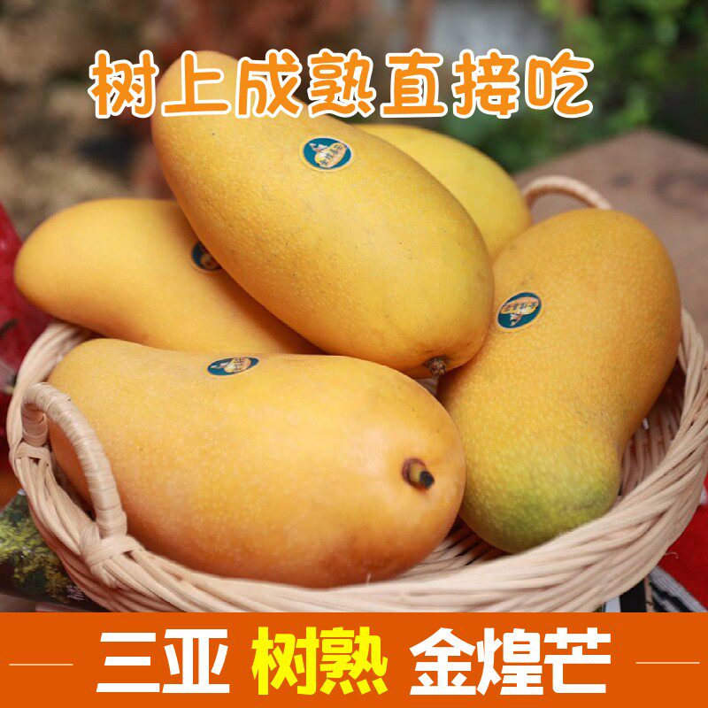 海南精品树熟金煌芒果3斤5斤8斤产地直发