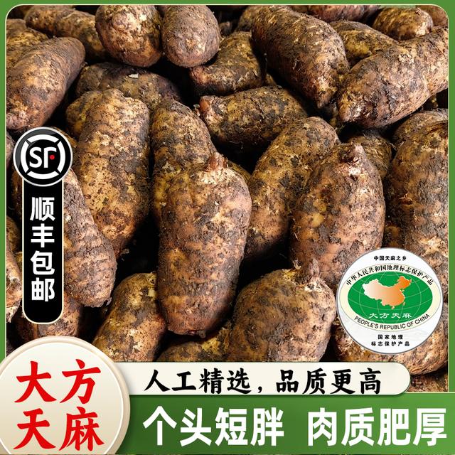 【顺丰】贵州新鲜大方乌天麻现挖高山天麻煲汤仿野生长非小草坝天