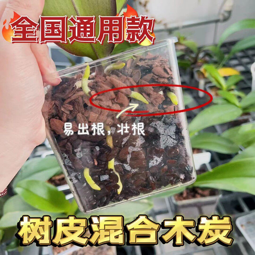 （国产树皮新西兰树皮木炭）有机植料加强透气能保水兰花专用土