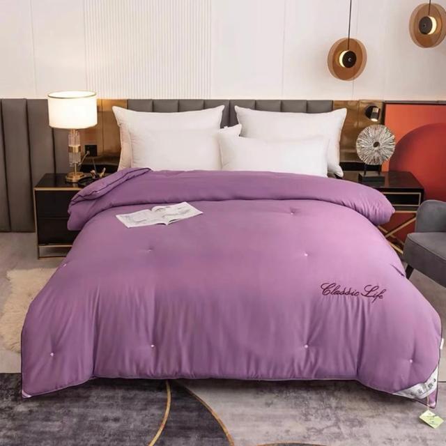 1（被套热卖）亲肤柔软刺绣被罩绣花单件被套单人简约轻奢磨毛