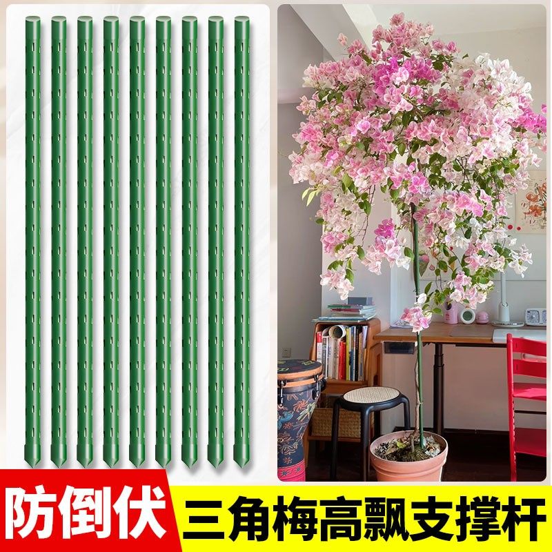 【苏塑】三角梅高飘支撑杆月季爬藤架子花架绿植物防倒伏花卉支撑图片