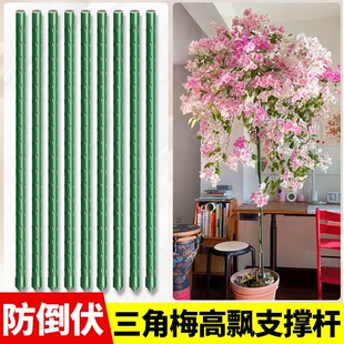 【苏塑】三角梅高飘支撑杆月季爬藤架子花架绿植物防倒伏花卉支撑