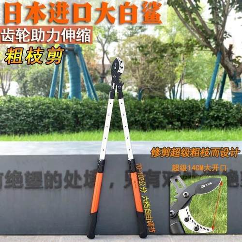 可选伸缩大力剪强力园艺树枝剪粗枝剪刀果树绿化大粗枝专用剪刀