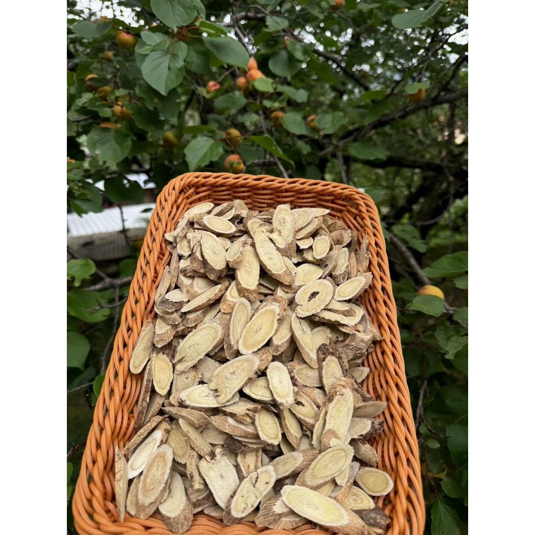 老黄芪 甘肃 岷县 深山高海拨采挖15年左右老黄芪主根大片