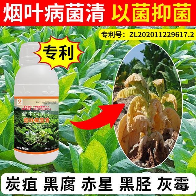 烟叶病菌清专利升级配方烟叶黑茎烟草赤星炭疽褐斑野火微生物菌剂