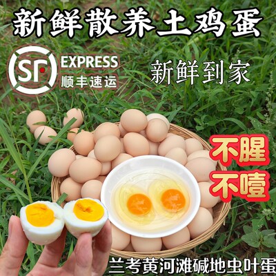 50枚散养土鸡蛋农家散养柴鸡蛋新鲜营养无抗自然兰考黄河滩虫叶蛋