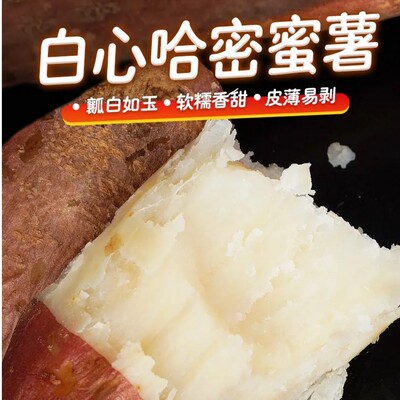 五斤装精品果正宗山东哈密冰糖心白薯新鲜现挖瓤白如玉坏果包赔