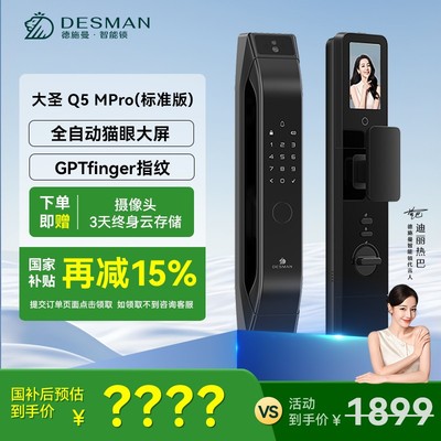 【德施曼】德施曼 大圣 Q5MPro（标准版）大屏猫眼龙霆电机-D