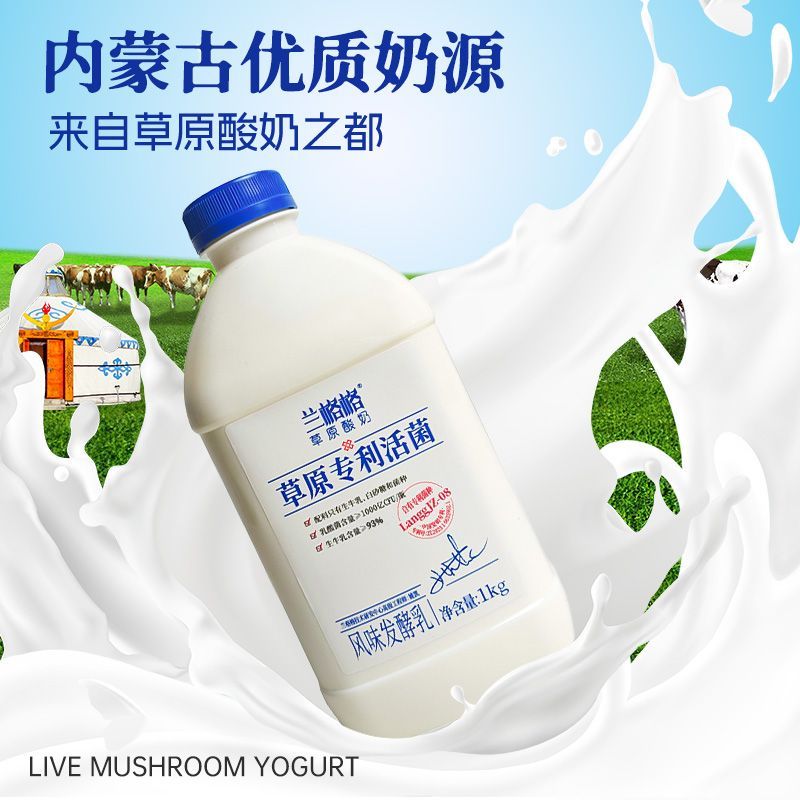 兰格格草原酸奶1kg*2瓶内蒙古风味发酵乳酪做干噎干巴希腊酸奶用