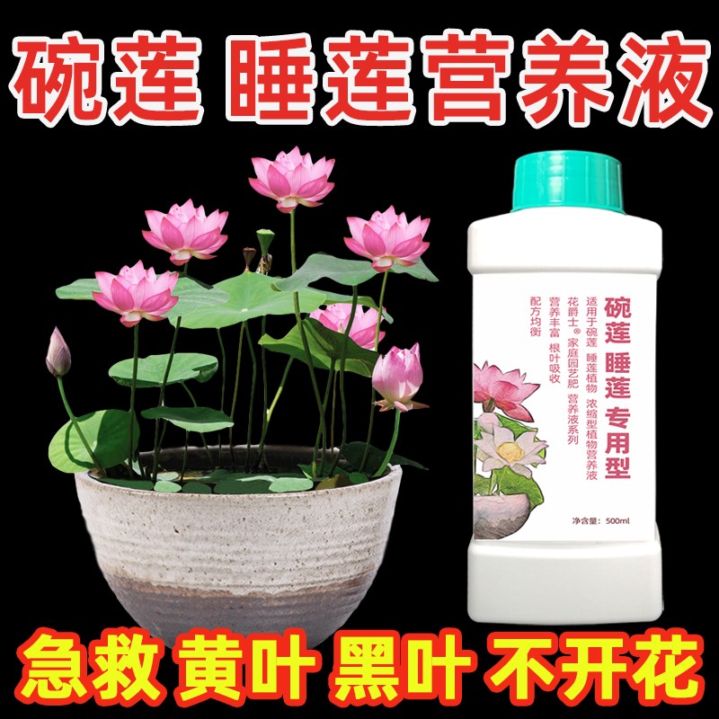 碗莲睡莲专用营养液促开花肥水培睡莲肥料专用肥水养碗莲花水溶肥