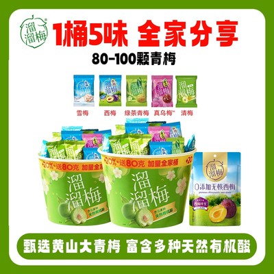 溜溜梅青梅零食5味全家桶礼盒囤货装孕.妈解腻酸甜解馋追剧Z