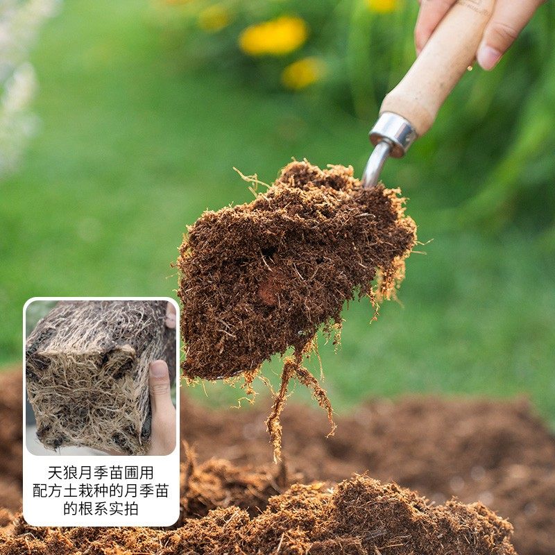 天狼月季栽培基质配方土绣球铁线莲专用营养土通用椰糠有机肥,鲜花速递/花卉仿真/绿植园艺,介质/营养土,淘宝优惠券,粉丝福利购,淘宝优惠卷