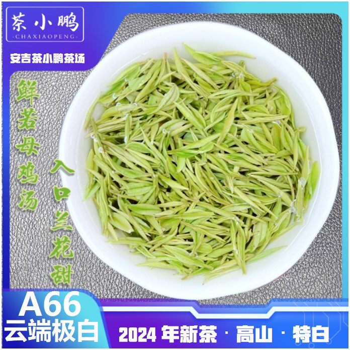 茶小鹏A66云端极白2025年明前安吉高山白茶浓郁兰花香生态