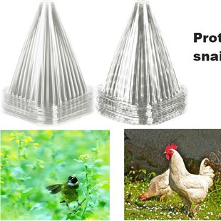 超大加厚透明育苗保护罩防鸟防冻果菜苗保温防虫蜗牛