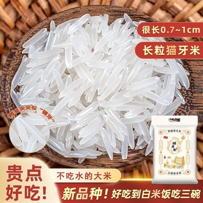 [长粒品种]尊品猫牙米 25年新米 软糯香甜产地直发好吃香5斤/10斤