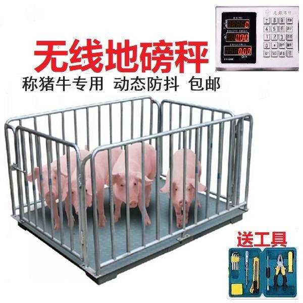 红字无线地磅秤称猪电子秤秤牛地磅称猪用电子地磅秤家用围栏地磅