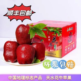 甘肃天水精品花牛苹果4.5-9斤新鲜红色脆甜现摘松脆多汁