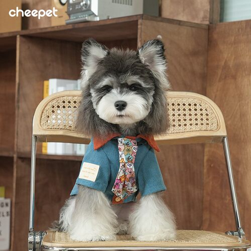 cheepet/趣派秋冬港式复古痞帅领带衬衫比熊雪纳瑞狗狗两腿外穿服