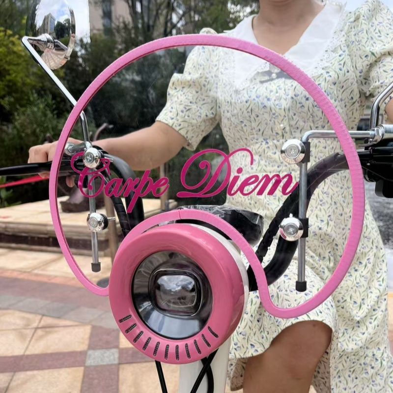 电动车加装风挡自行车前挡风适用爱玛元宇宙九号小牛小熊保暖新风