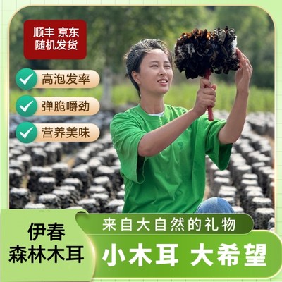 王北四伊春原本自然寒地头茬木耳  500g