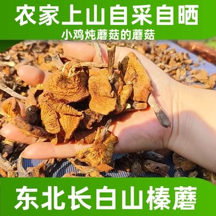 东北长白山榛蘑山上自采自晒干货无根小鸡炖蘑菇营养美味250克