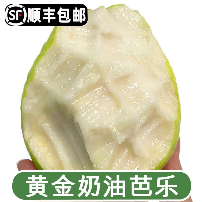【顺丰EMS放软吃】正宗广西芭乐白心番石榴香甜奶油白心芭乐果