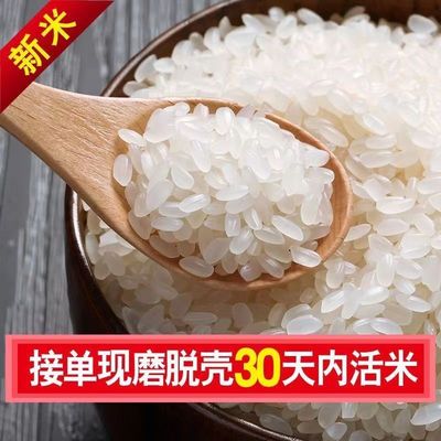 东北大米五常大米5斤真空包装厂家当季新米