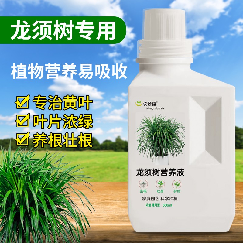 龙血树专用营养液室内龙须树防黄叶干尖防倒伏绿植通用水溶液体肥