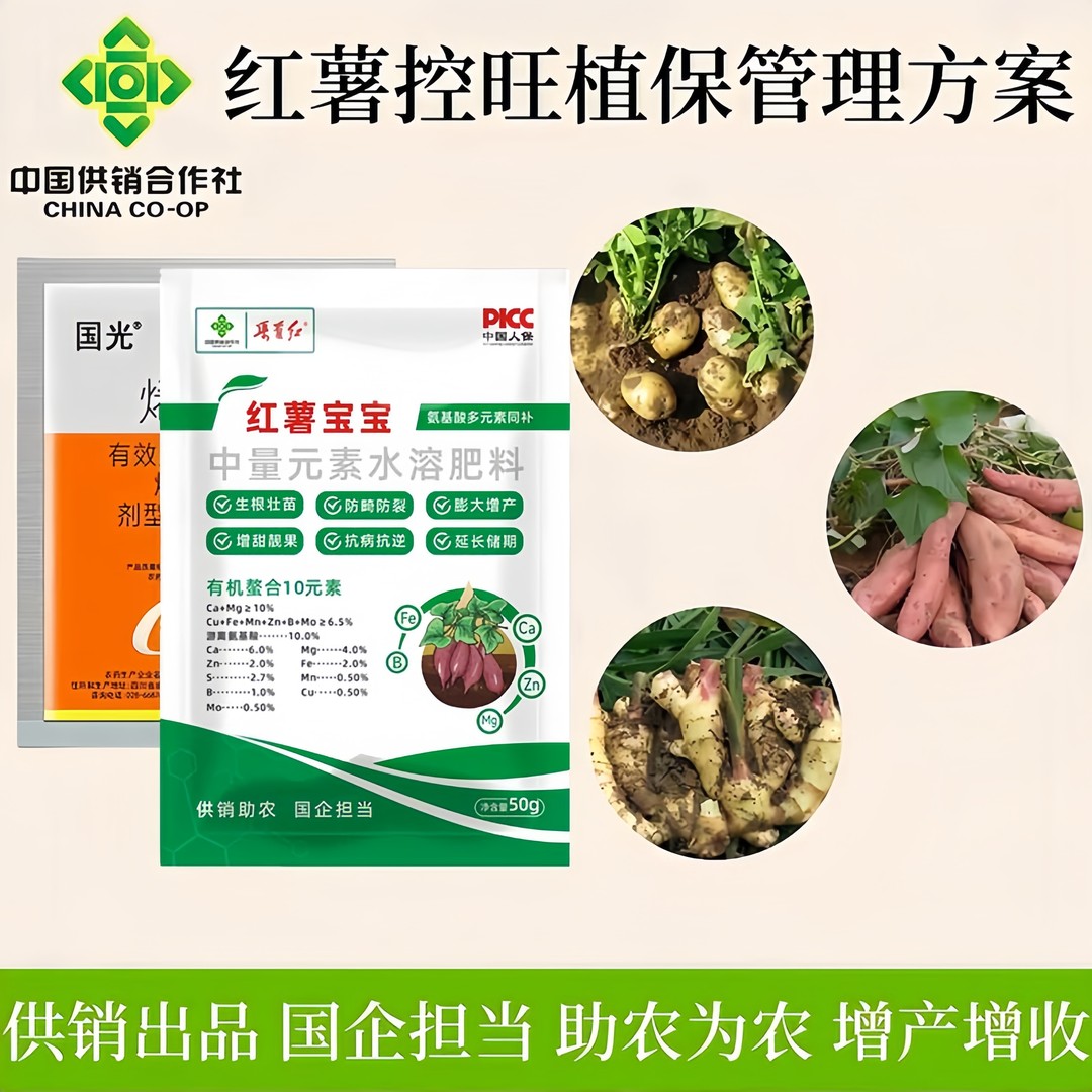植保烯硝坐钾水溶肥管理方案膨大营养土豆红薯水果蔬菜