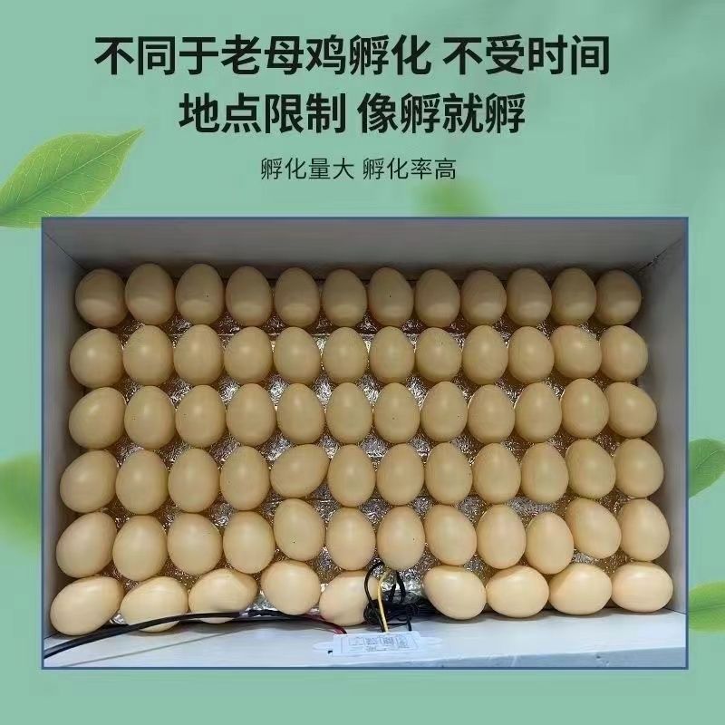 全自动控温智能水床孵化器鸡鸭鹅鸟类孵蛋器家用小型全套恒温孵化