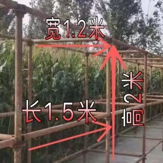 玉米架子管玉米棒储存架苞米楼插扣架玉米囤存放架钢管轮扣脚手架