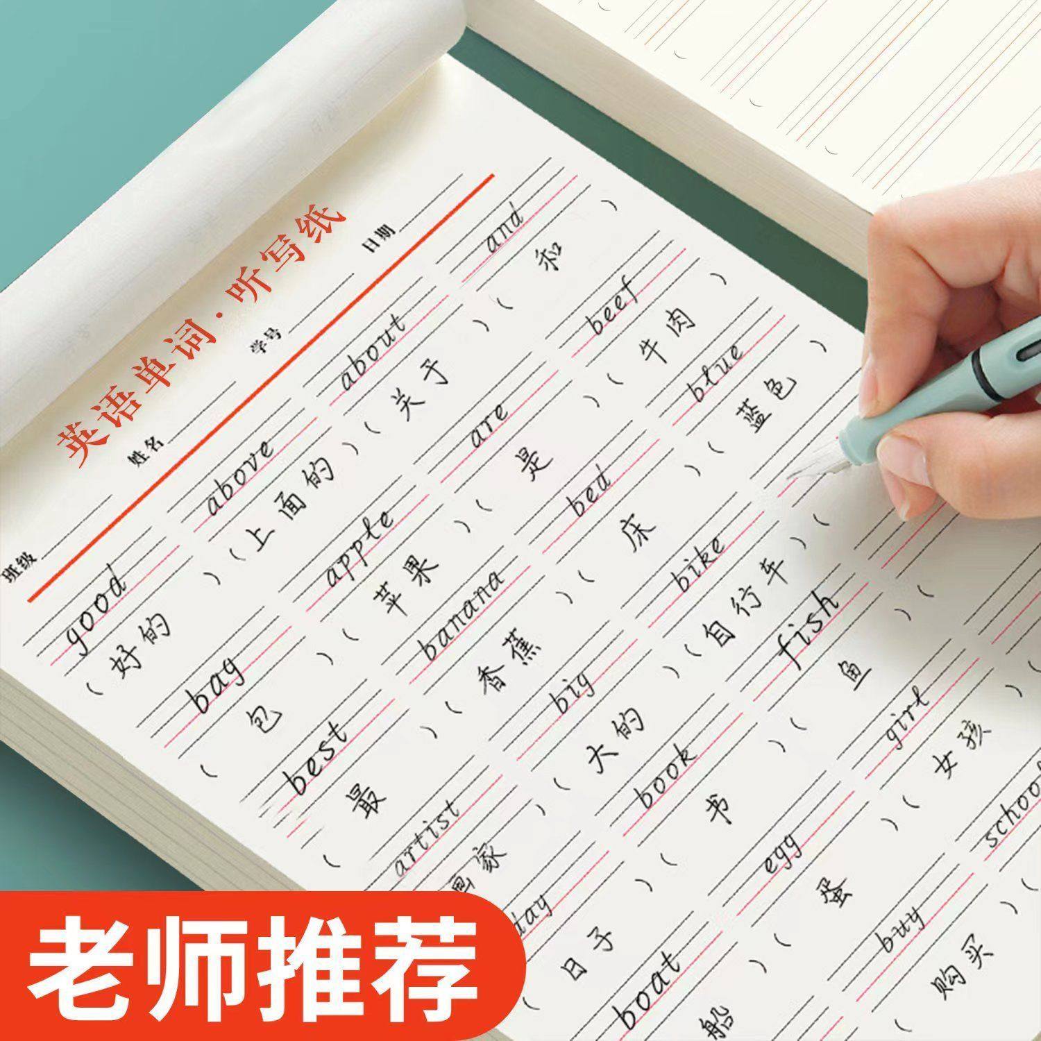 英语作业纸可撕式英语听写纸单词句子默写本英汉互译作业本小学初