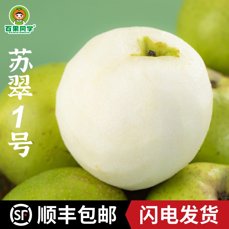 顺丰正宗砀山苏翠1号翠玉翠冠皇冠梨青皮梨产地直发