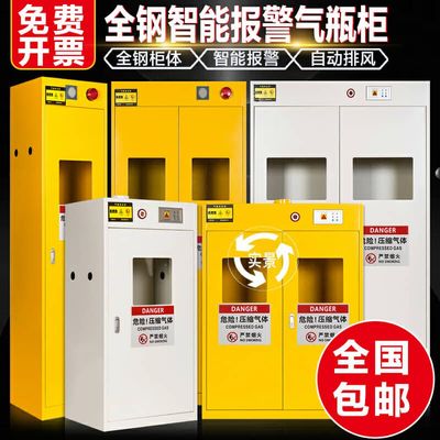 全钢防爆实验室双瓶气瓶柜煤气罐安全柜乙炔氮气氢气体钢瓶储存柜