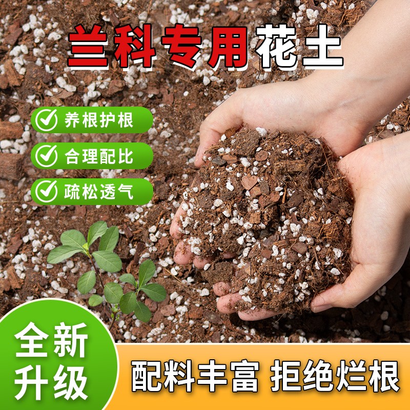 李哥说兰花专用营养土养根促根不配方介质/营养土