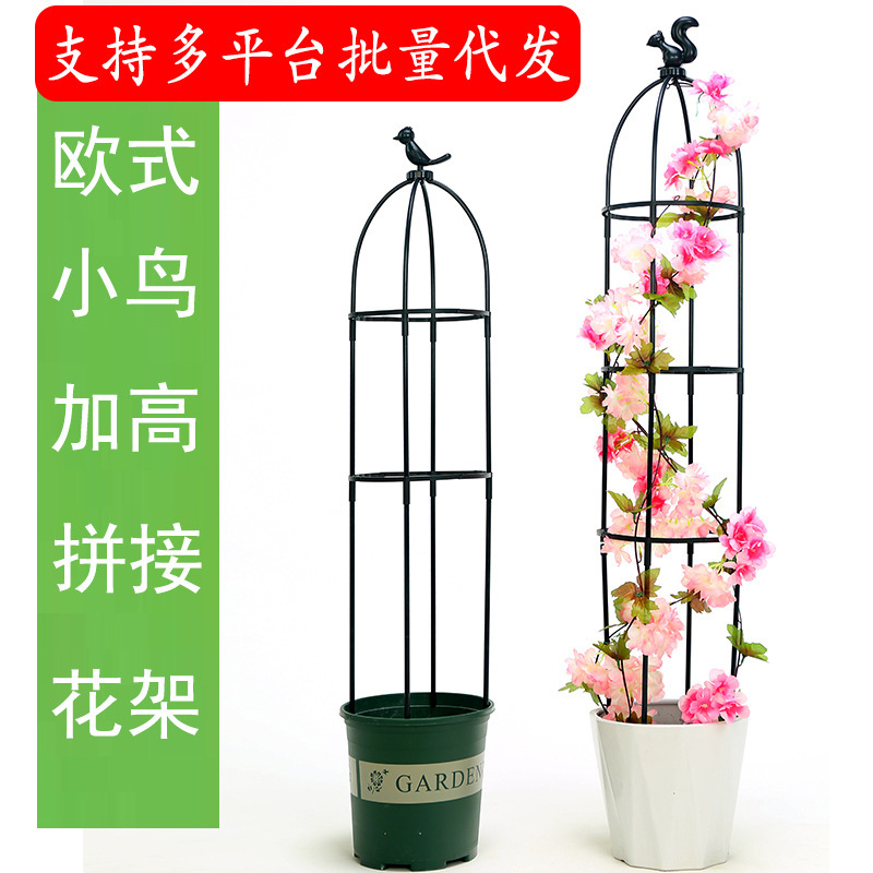 昙花专用支架月季花架园艺爬藤花植物铁线莲紫藤攀爬阳台撑欧式花