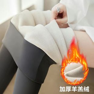 小个子秋冬加厚羊羔绒保暖加绒鲨鱼裤 外穿高腰收腹显瘦瑜伽打底裤