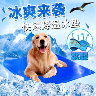 冰袋宠物用宠物冰垫狗狗垫子凉席冰床垫夏天降温夏季凉垫睡觉水坐