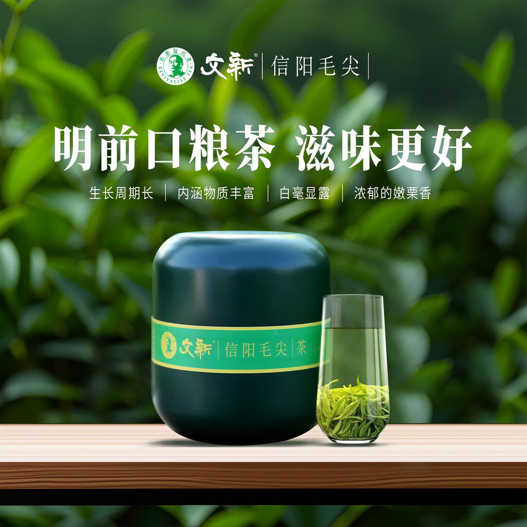 【2026年新茶】文新信阳毛尖小绿罐50g明前口粮茶