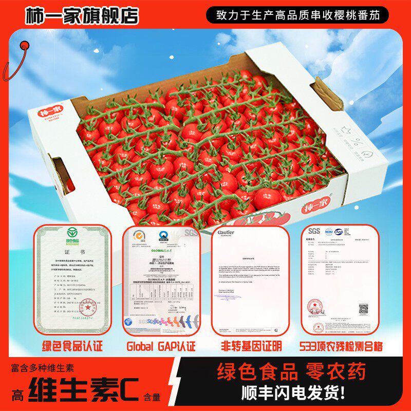 柿一家新鲜现摘串收樱桃番茄爆汁水果自然成熟1kg小番茄
