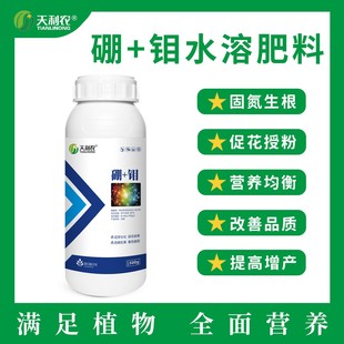 花生蔬菜瓜果大田经济作物高产专用硼钼叶面水溶肥