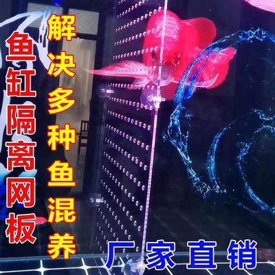 鱼缸内置隔离板透明鱼缸隔板分离板水族箱隔断挡板过滤小网格亚克
