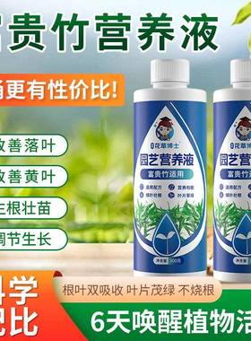 花草富贵竹营养液专用叶黄家用生根花肥水养土养植物通用肥料vb19