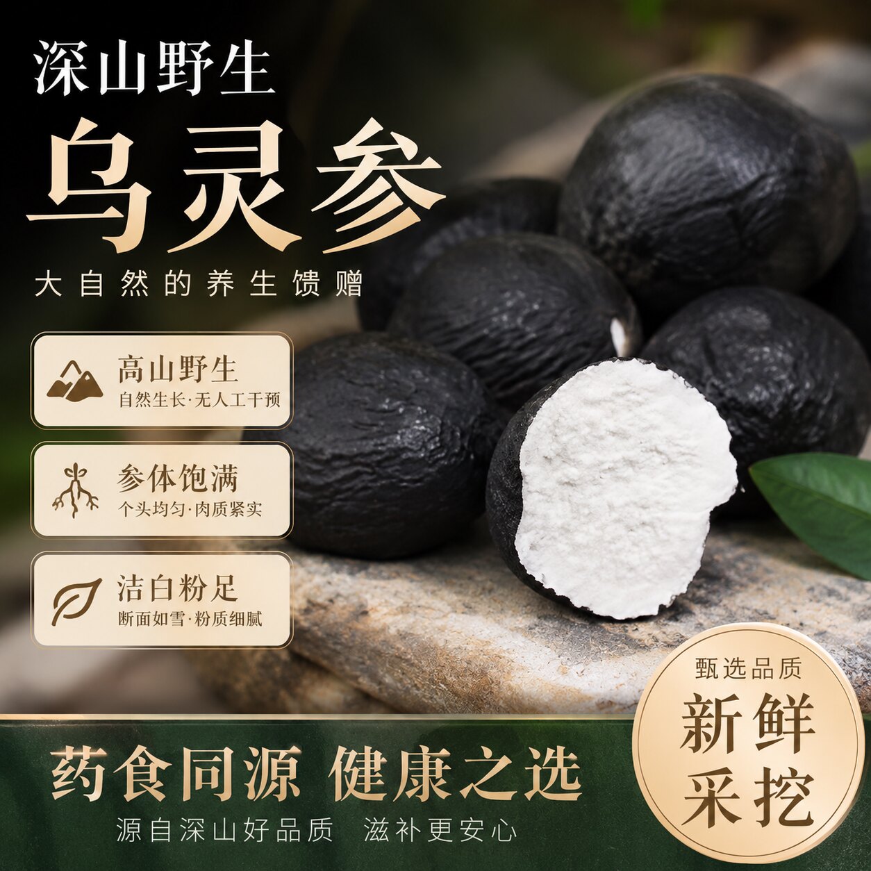 云南乌灵参野生干货鸡枞蛋雷震子