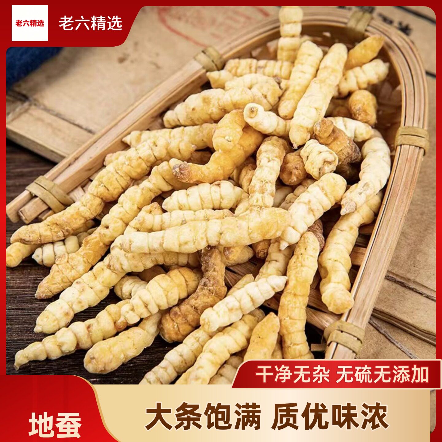 特级云南野生白虫草参直发